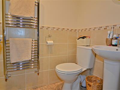 Picture 7